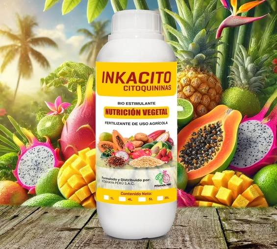Inkacito Unveiled: A Deep Dive into Its Unique Features and Benefits
